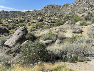 Marcus Landslide Trail