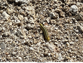 Facebook - fun picture of plumber's van