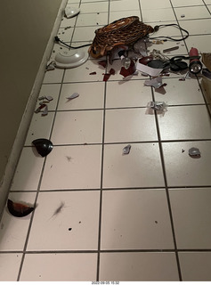 my cats Devin and Miss Pris atop my tapes