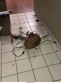 oh shit, the Miss Pris cat right knocked over my bowl of stuff