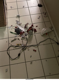 oh shit, the Miss Pris cat right knocked over my bowl of stuff