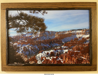 cat Pickle and watermelon