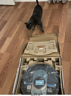 Shark AI Robot in box and my cat Devin