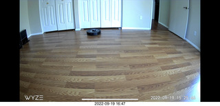my Sharknado robot cleaner