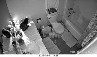 my tapes shelf with my cats Miss Pris and Jane