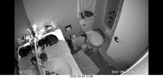 my cat Miss Pris in my dark bathroom