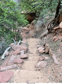 Zion trail