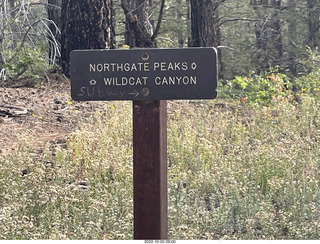 Wildcat Canyon Trail