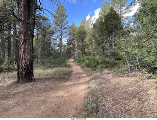 Wildcat Canyon Trail