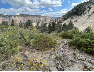 Northgate Peaks trail - vista view
