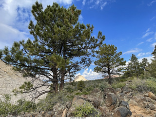 Northgate Peaks trail - vista view -trees