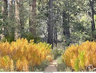 Wildcat Canyon trail
