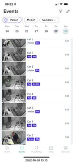 cat videos when Jane and Miss Pris fought