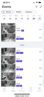 aftermath of Jane and Miss Pris  fighting