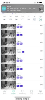 cat videos when Jane and Miss Pris fought