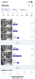 aftermath of Jane and Miss Pris  fighting