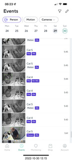 aftermath of Jane and Miss Pris  fighting