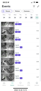 cat videos when Jane and Miss Pris fought