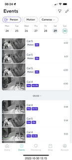 cat videos when Jane and Miss Pris fought