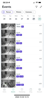 cat videos when Jane and Miss Pris fought