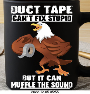 Facebook - duct tape can't fix stupid