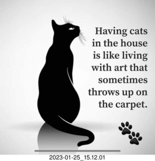 Facebook - Having cats in the house