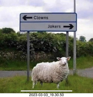 John Pizzarelli concert I'm not going to