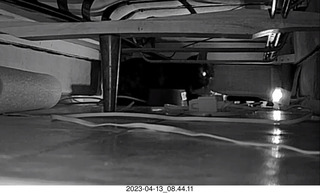 cat videos when Jane and Miss Pris fought