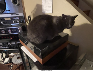 my cat Jane on top of my Linn turntable