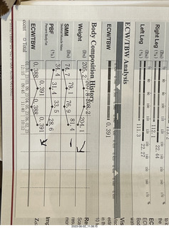 my InBody stats from Elite