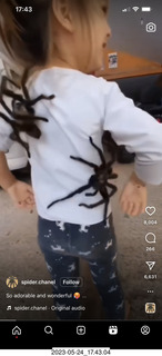 EAA 1217 - Pegasus Airport - Pitts museum