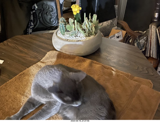 Facebook - Dick and Jane