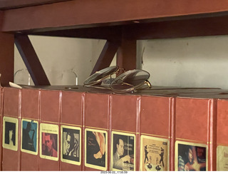 my tapes shelf with my cats Miss Pris and Jane