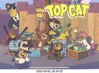Facebook - Top Cat