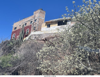 38 a24. Guanajuato