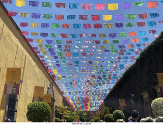 92 a24. town of Tequila tour - colorful street