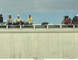 8 a24. Torreon - Mexicans riding the tops of freight-train cars