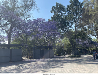 4 a24. near museum