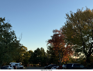 Cheltenham High School