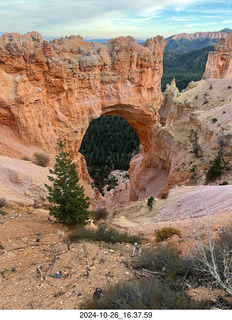 Bryce Canyon National Park - Natural Bridge