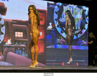 NPC Valley of the Sun Championships - Wings of Strength show