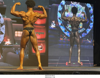 NPC Valley of the Sun Championships - Wings of Strength show