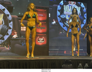 NPC Valley of the Sun Championships - Wings of Strength show