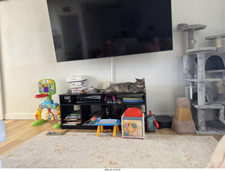 full foodbowls - cats Pickle and Potato