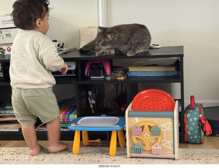 Instagram - cat Potato