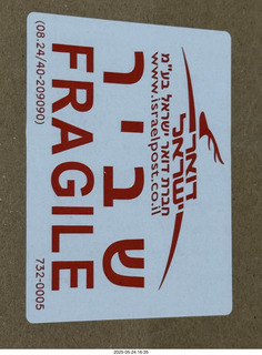 my cats Devin and Jane