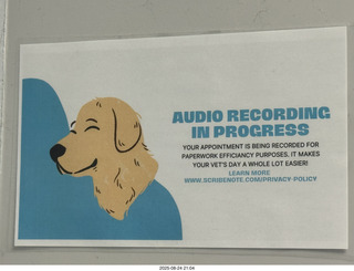 Vet visit (Krista Gibson)