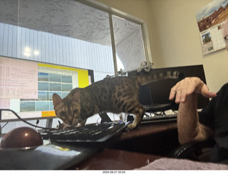 Lost Dog Wash hike - Adam shirtless legs and back