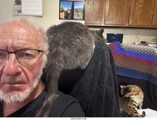 Adam and cats Devin and Pickle