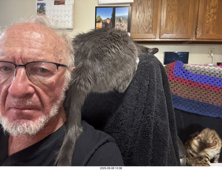 Adam and cats Devin and Pickle